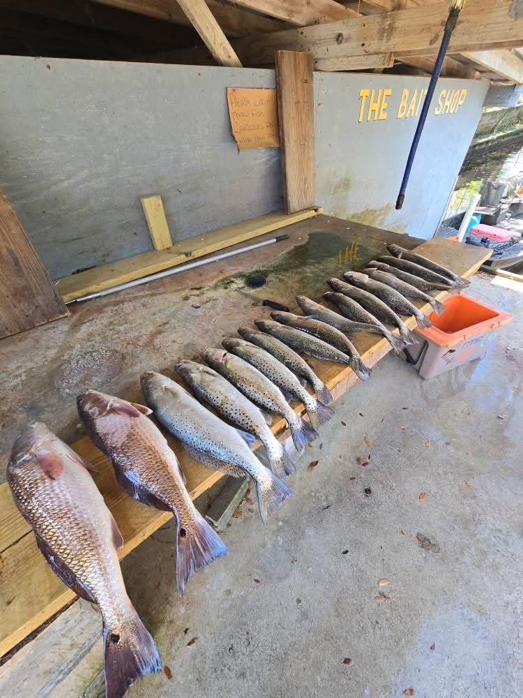 Estuary Adventures charter service photo 2