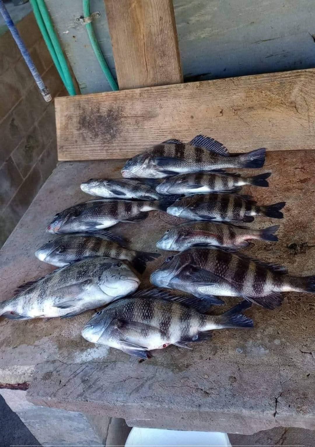 Estuary Adventures charter service photo 4